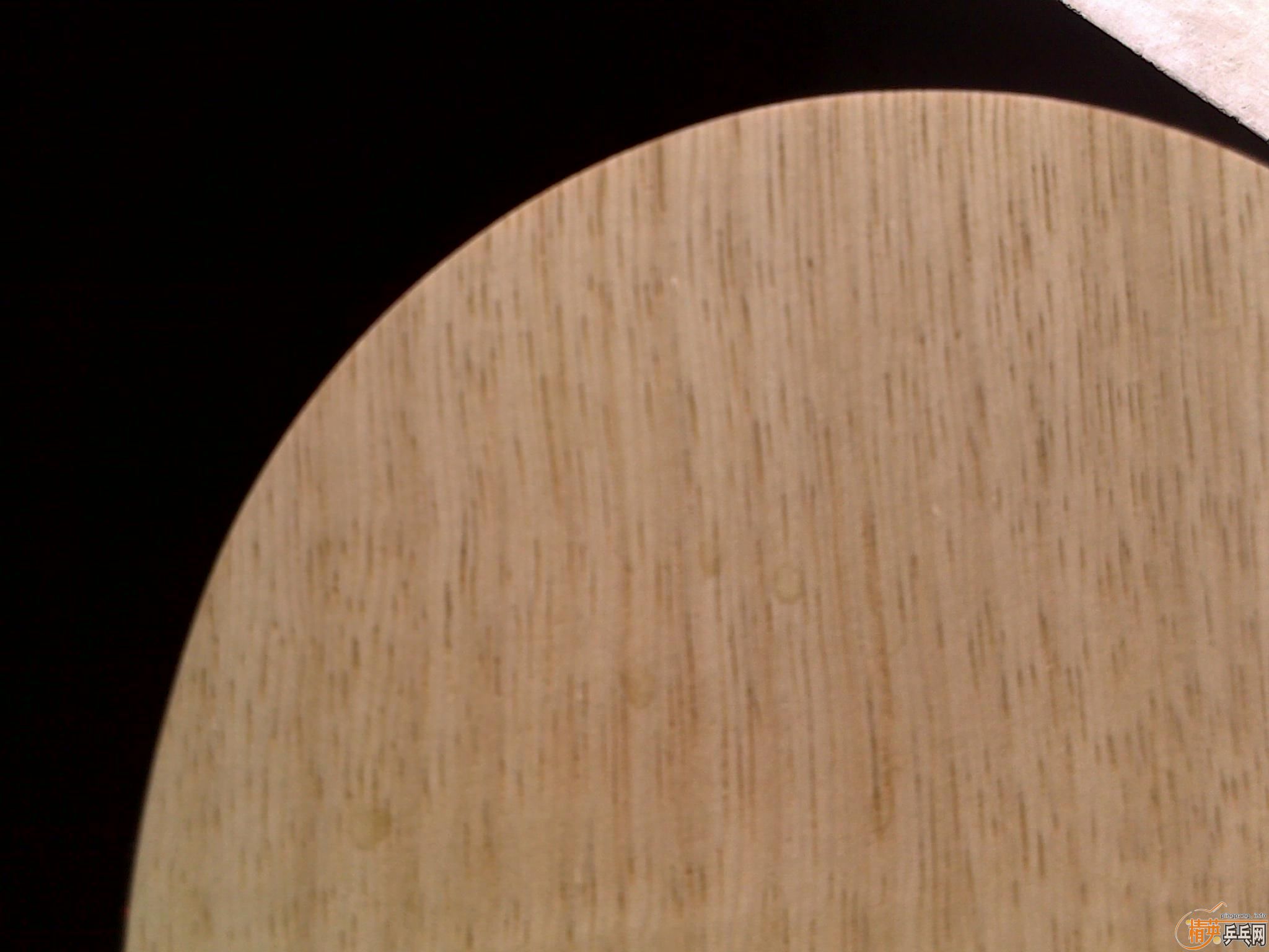 ֻ���һ�ε�˹�ۿ�CL����ļ���,���������AN��