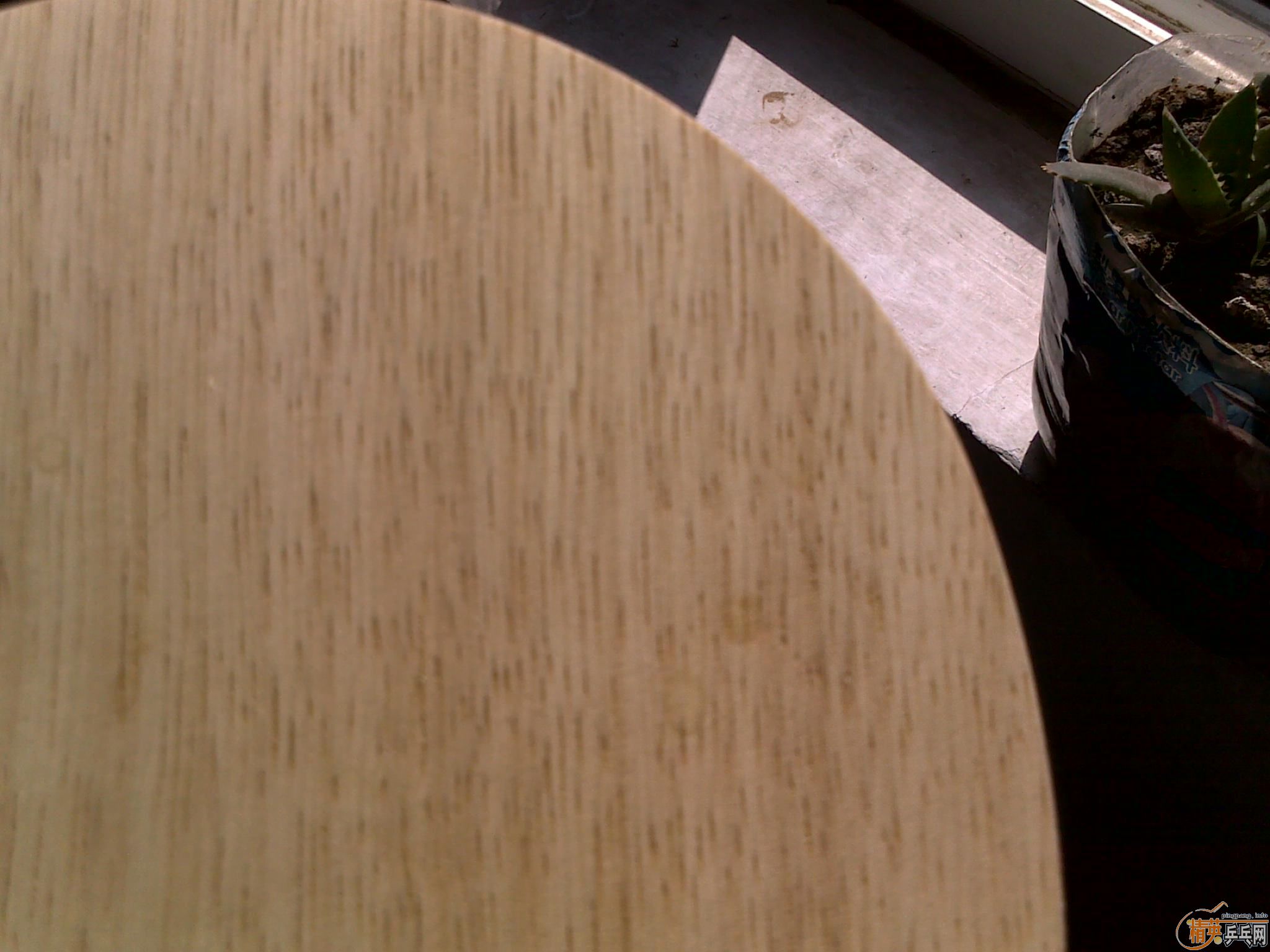 ֻ���һ�ε�˹�ۿ�CL����ļ���,���������AN��