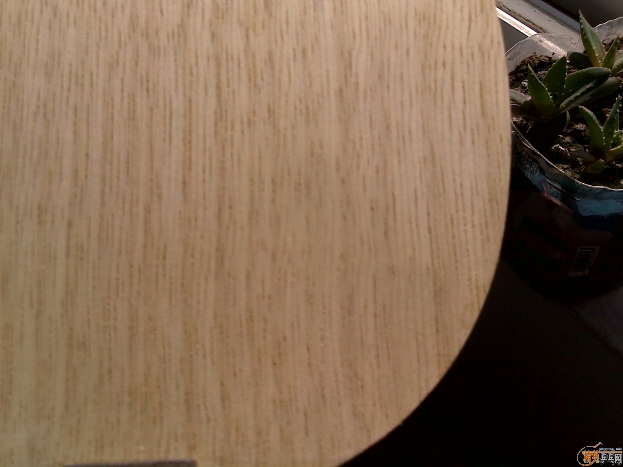 ֻ���һ�ε�˹�ۿ�CL����ļ���,���������AN��