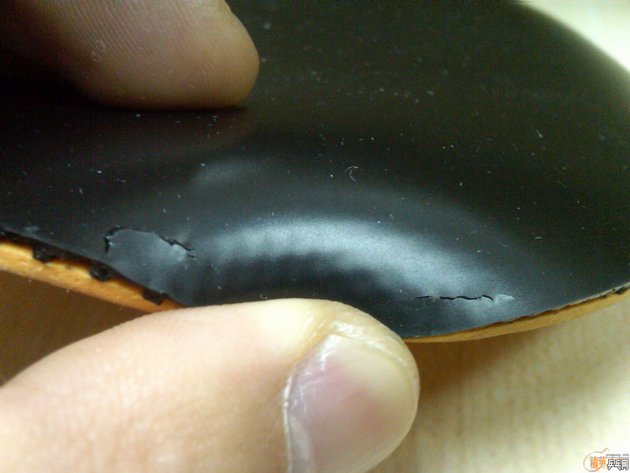 ��˹����EL