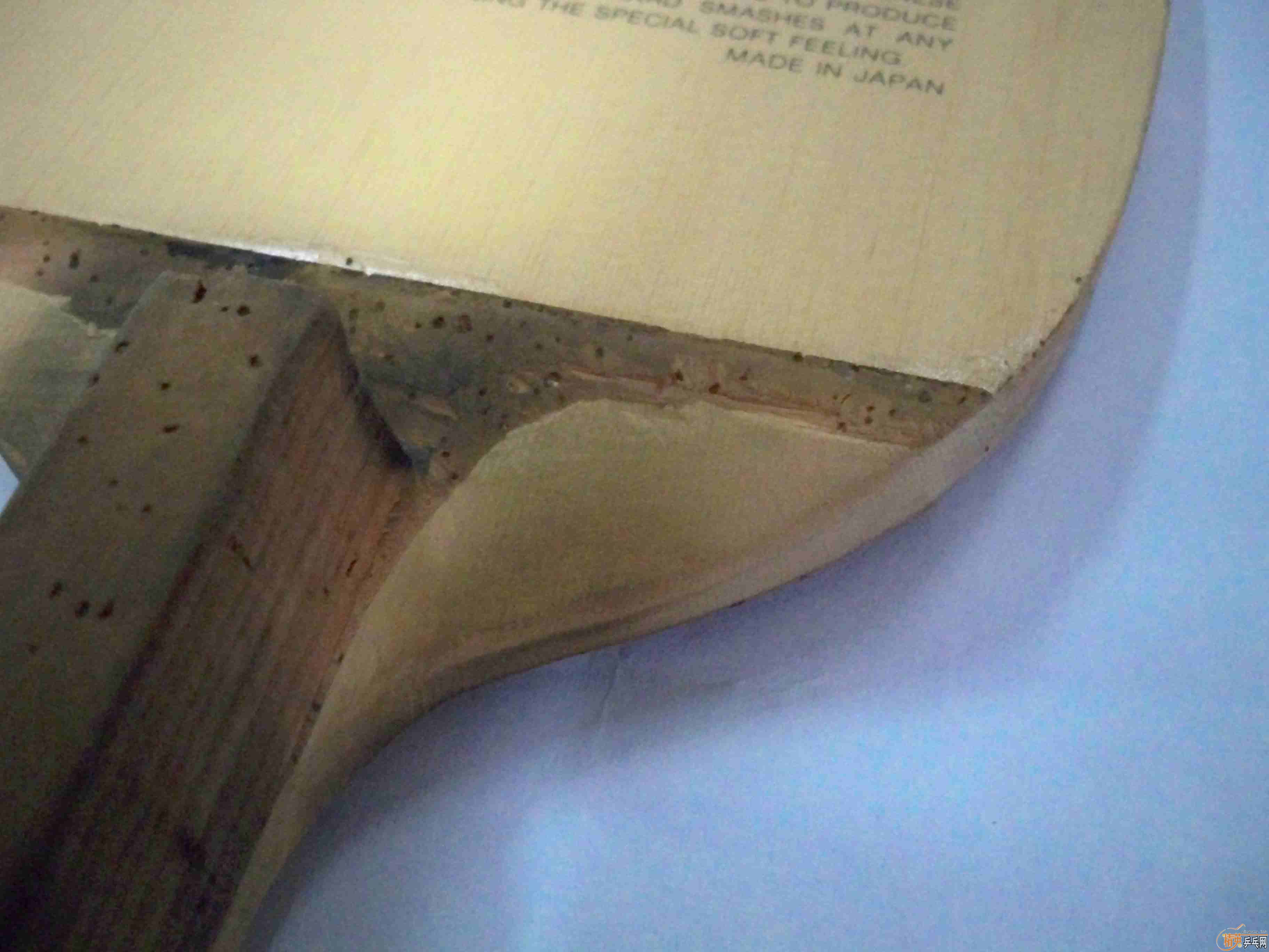 ���Ͻ� 1900Ԫ