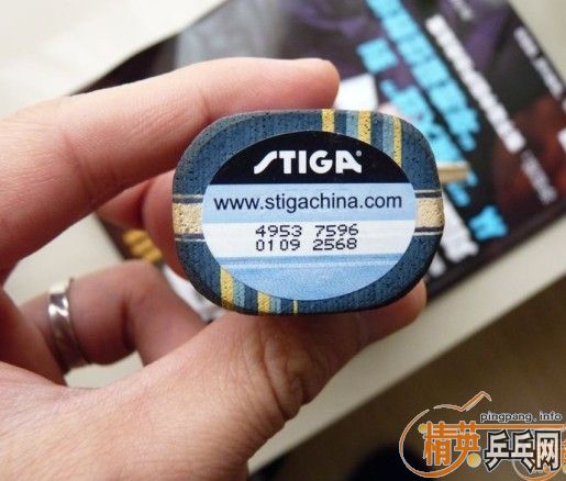 �л�EG9.8�³�������������