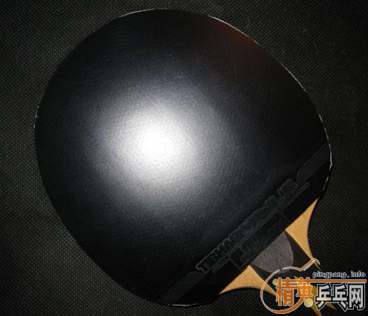 ���˳�9.5�����ϵ�ͦ��sinus