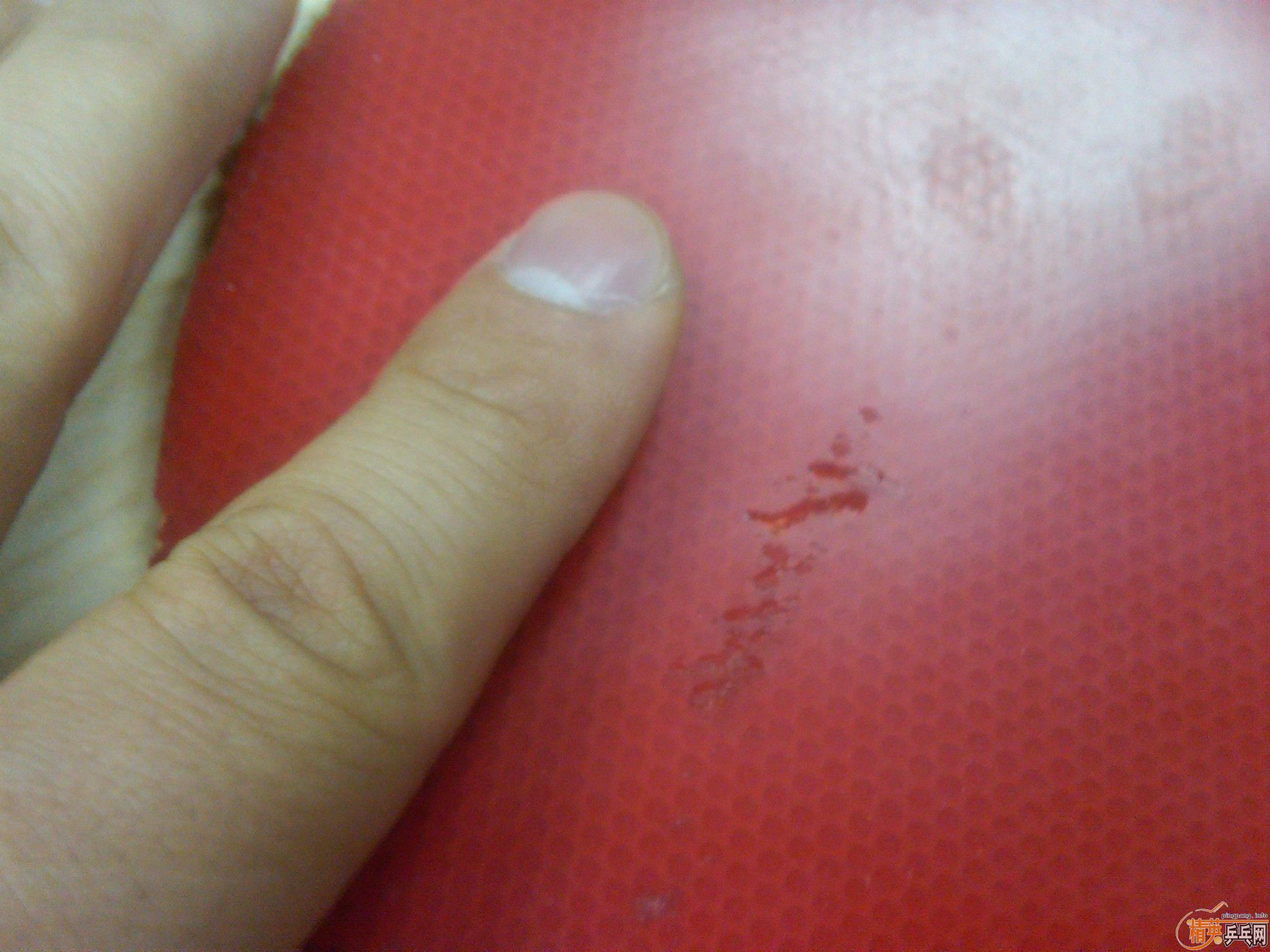 ��˹����EL