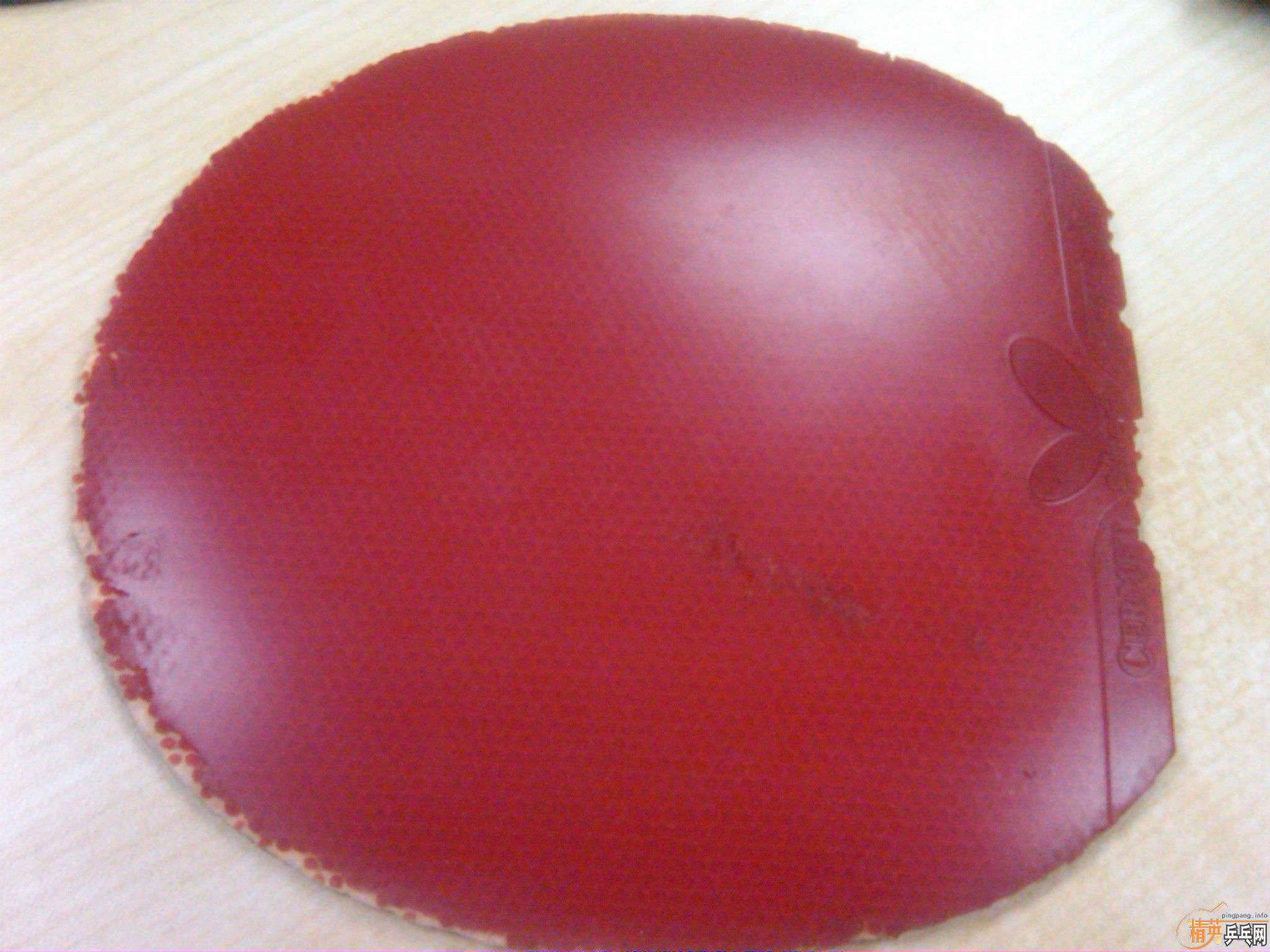 ��˹����EL