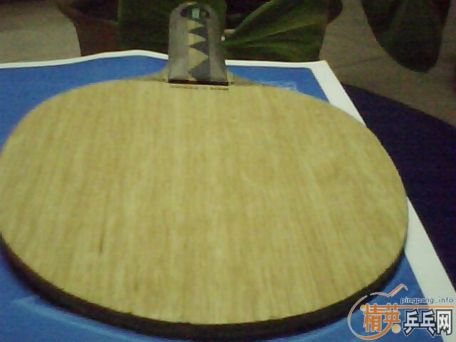 ST��������joola sting ����