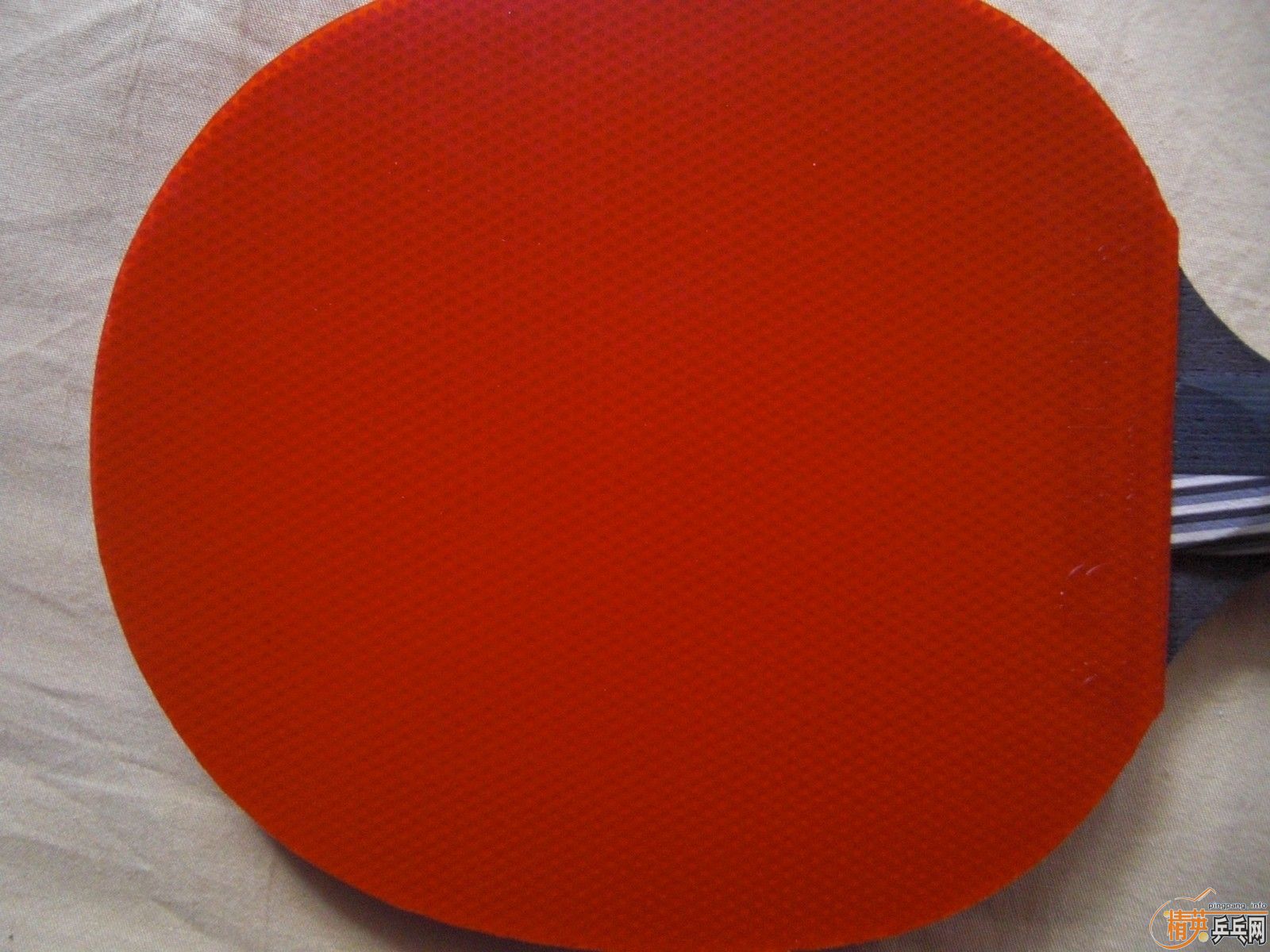 ��REACH ����  ���� REACH R1