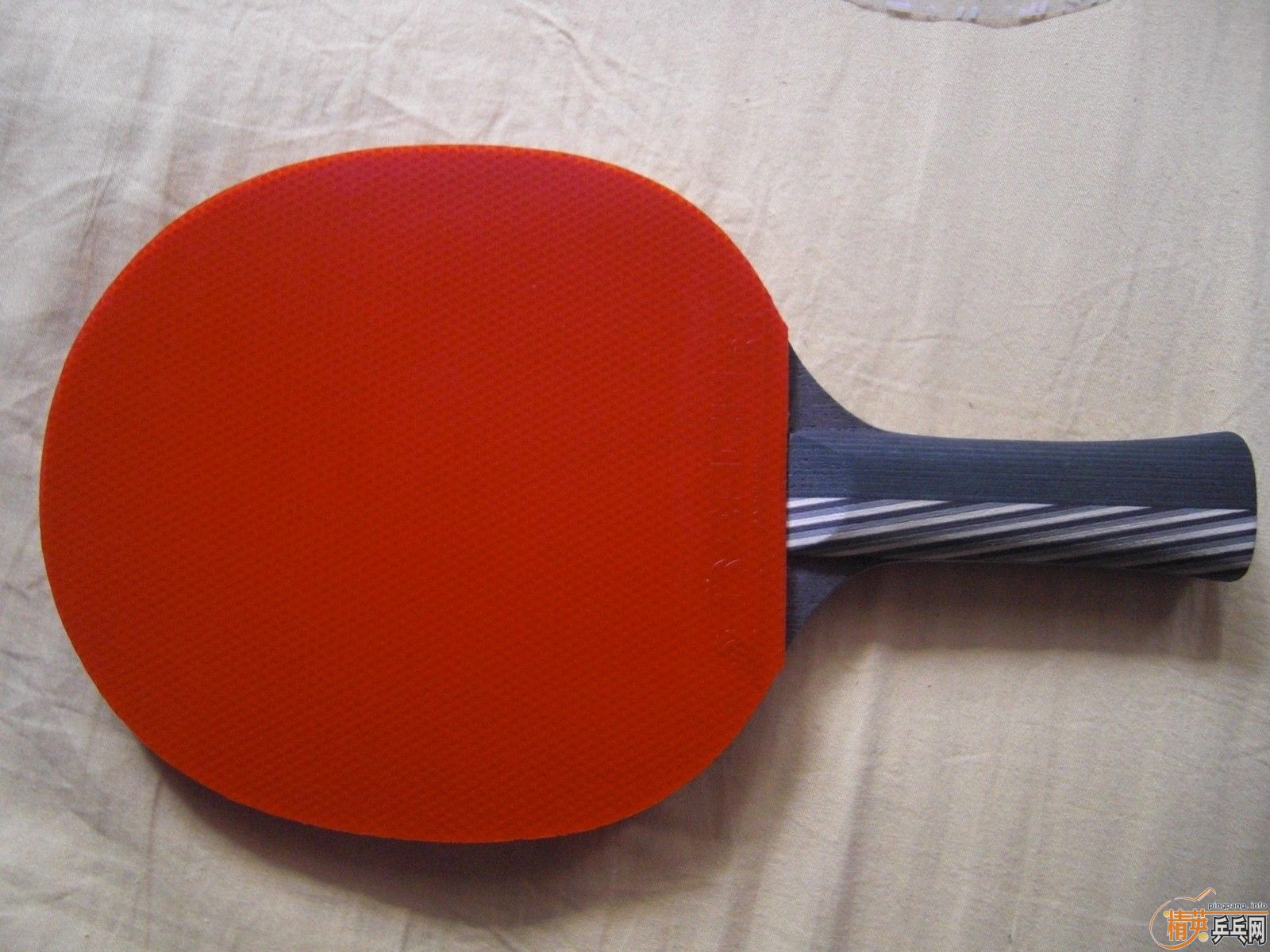 ��REACH ����  ���� REACH R1