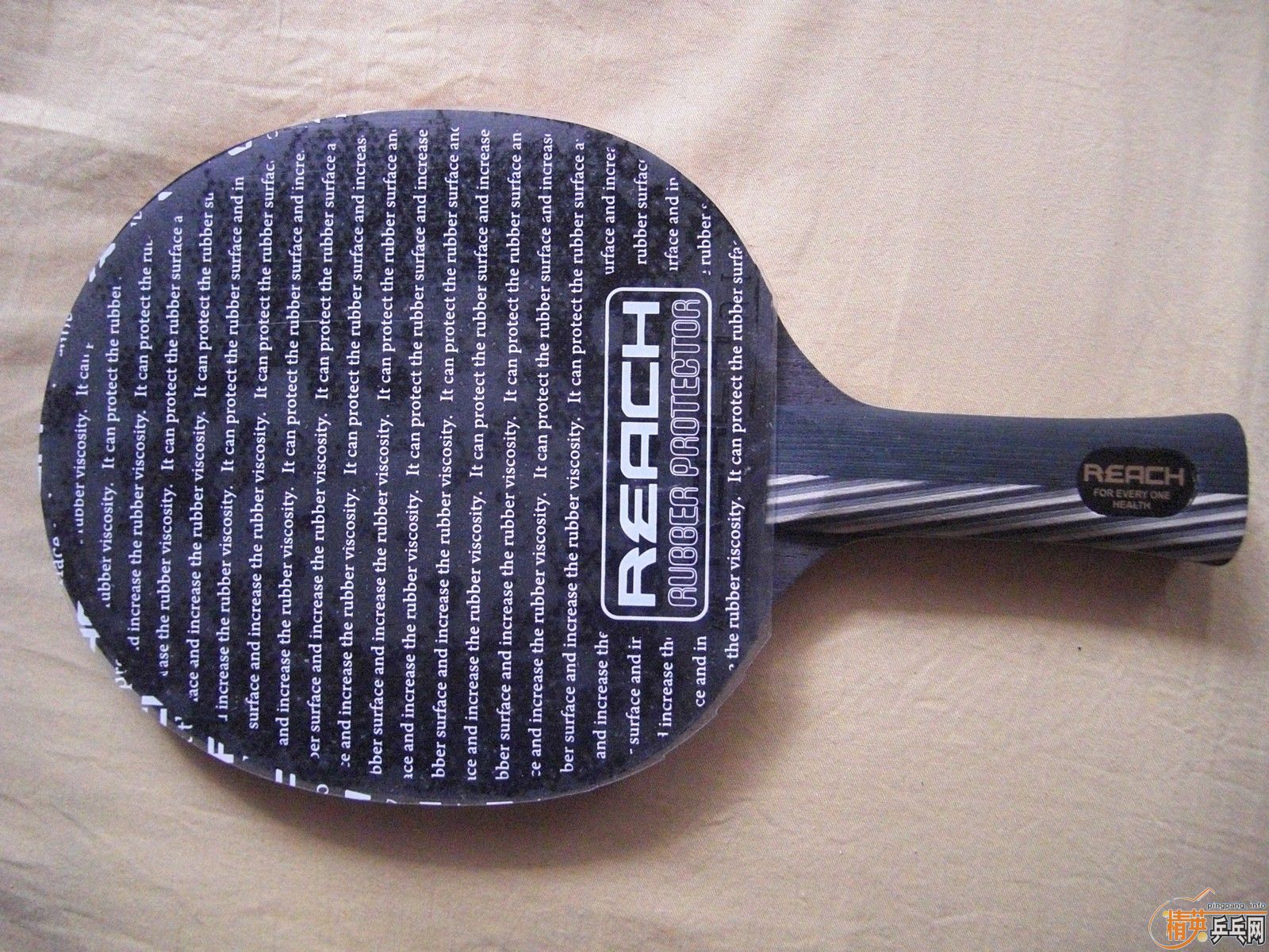 ��REACH ����  ���� REACH R1