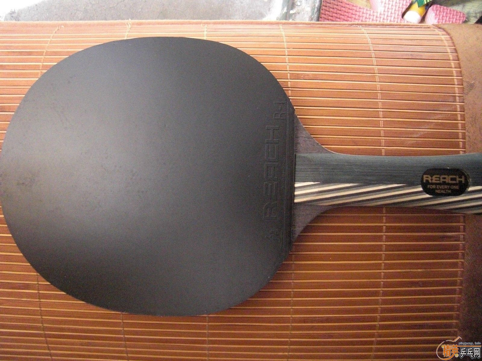 ��REACH ����  ���� REACH R1