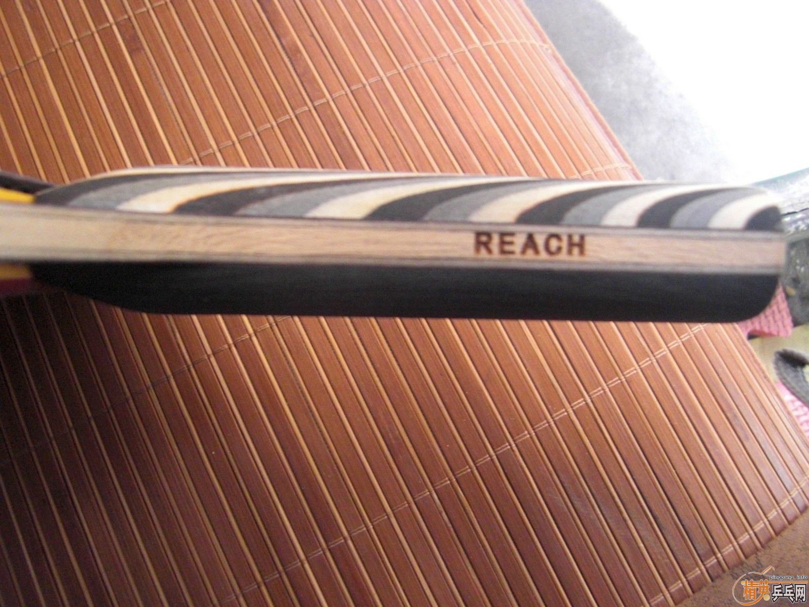 ��REACH ����  ���� REACH R1