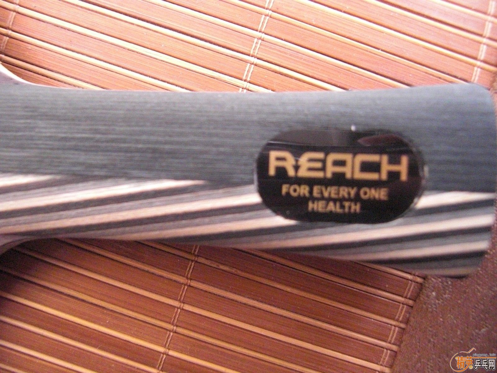 ��REACH ����  ���� REACH R1