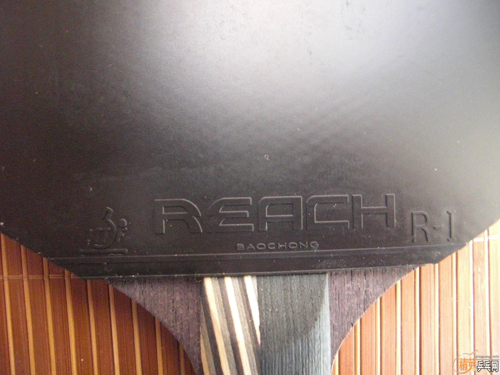 ��REACH ����  ���� REACH R1