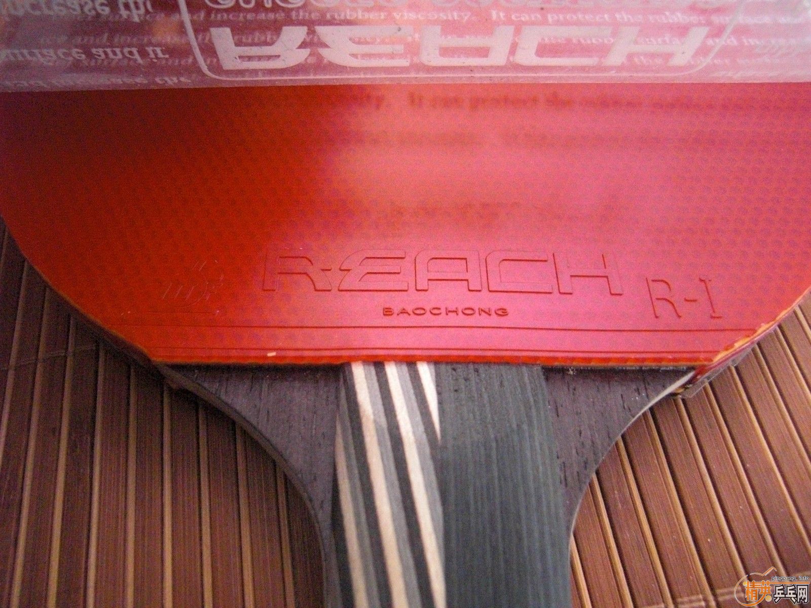 ��REACH ����  ���� REACH R1