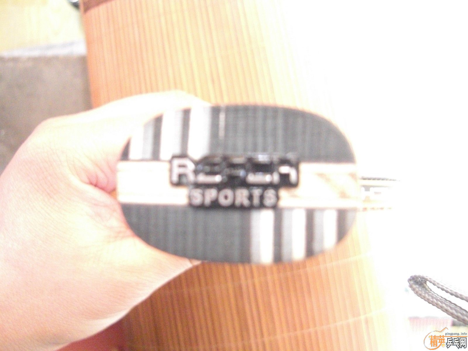 ��REACH ����  ���� REACH R1