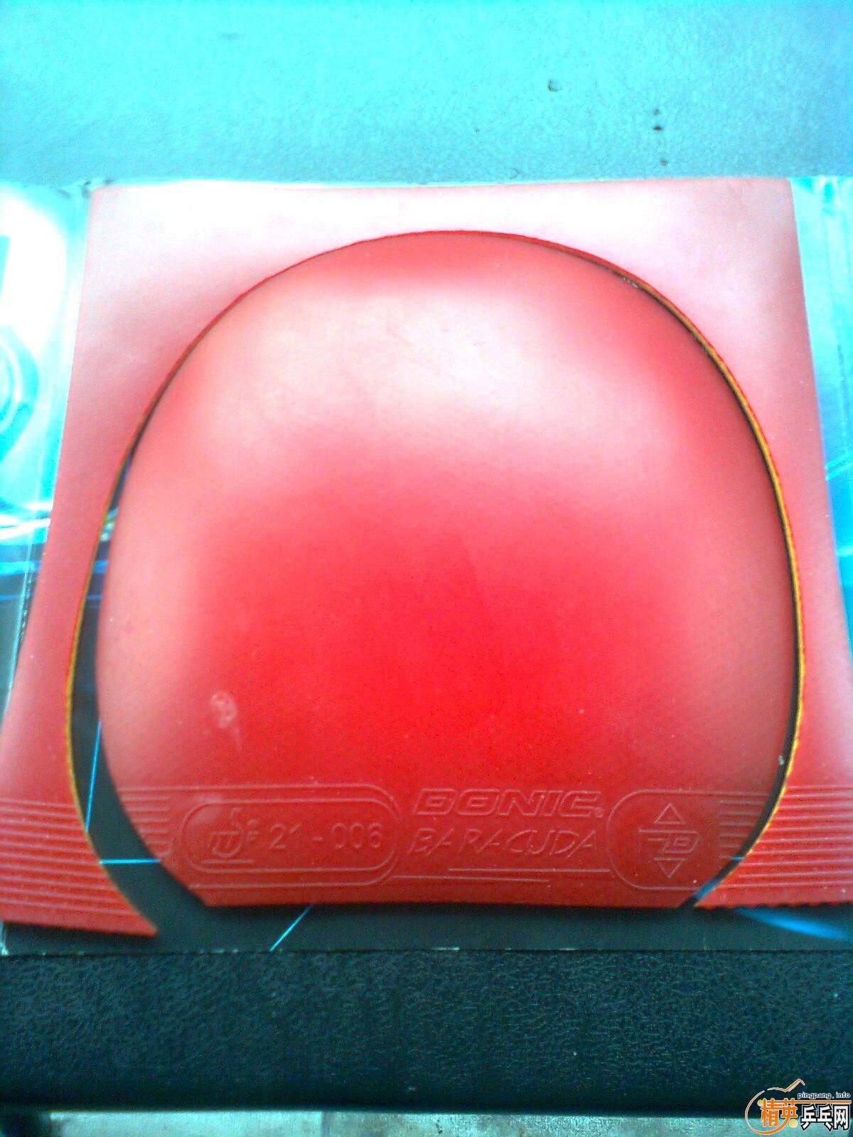 �����⺣��baracuda��95��������֧����