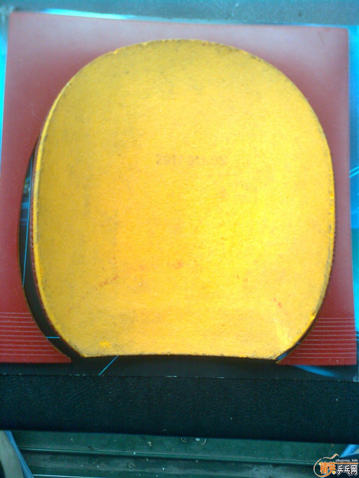 �����⺣��baracuda��95��������֧����