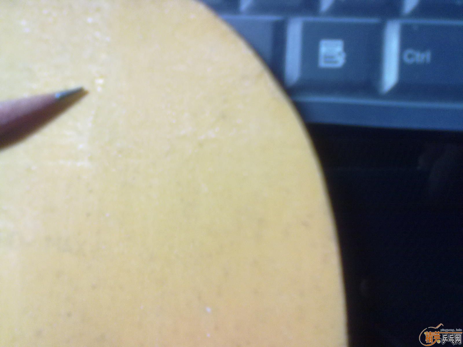 50 �� ���� ��ɫ sriver FX