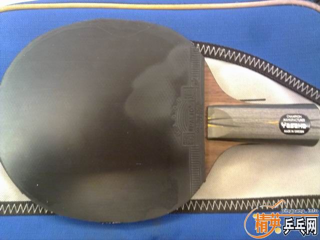 �����ո��׽�����ͨ���310