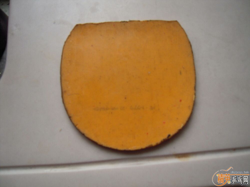 ֧�������������EL   ʡ��2��   �տ�һ��