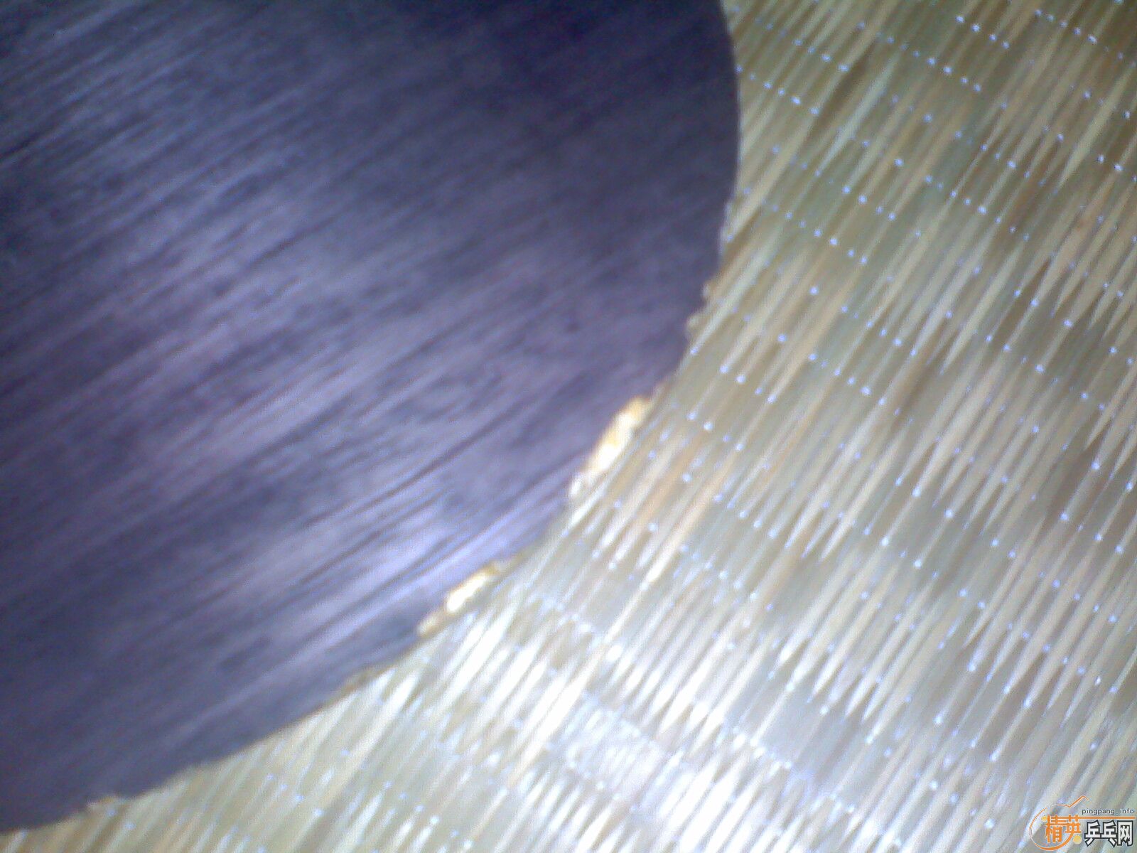 (��ͼ��)���·�����OC����һ�鲻֪���ĵװ�,��F1���׽�,