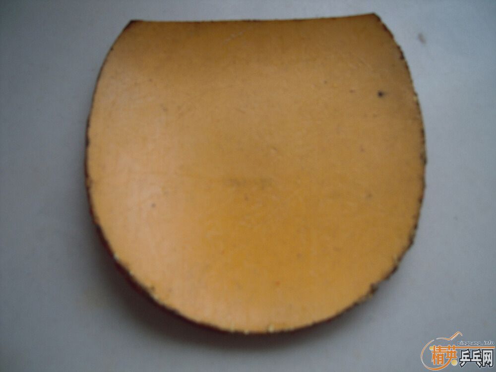 ֧�������������EL   ʡ��2��   �տ�һ��