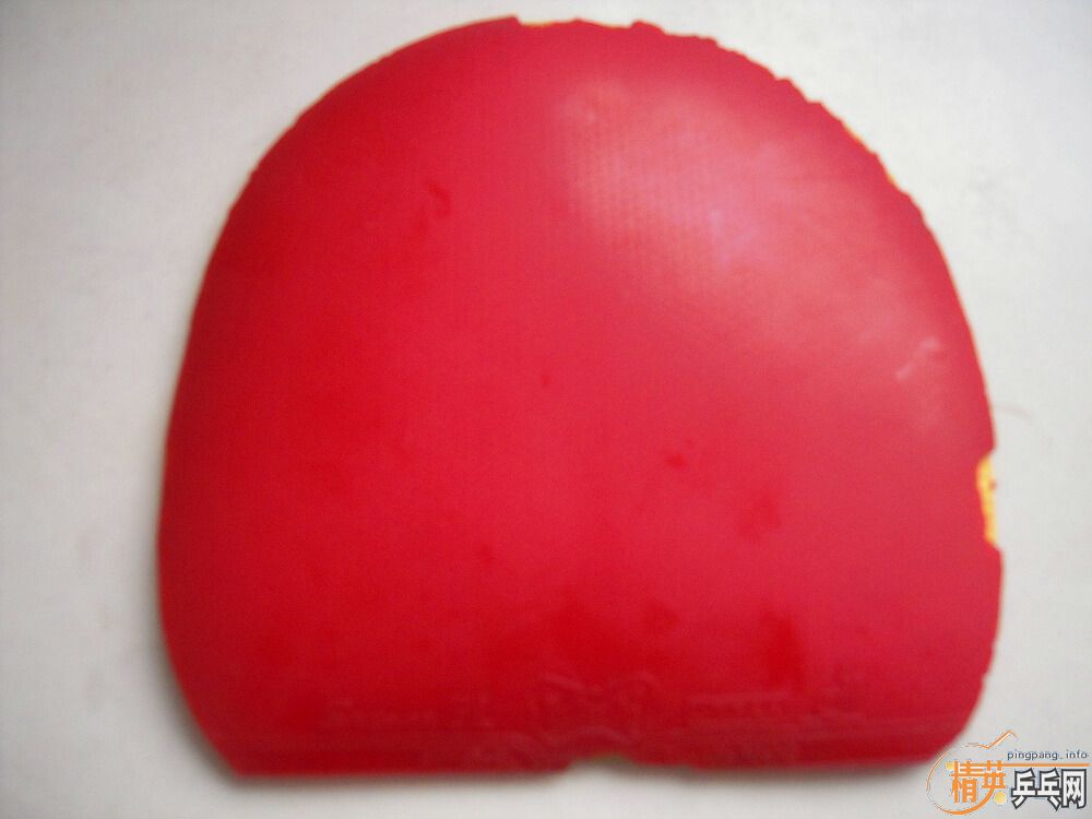 ֧�������������EL   ʡ��2��   �տ�һ��