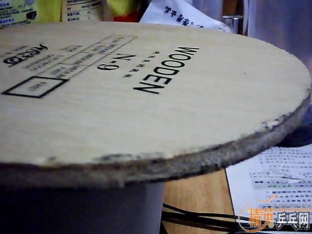 ����ֻ�������ӣ�һֻ�зϵģ���ҪҲ����