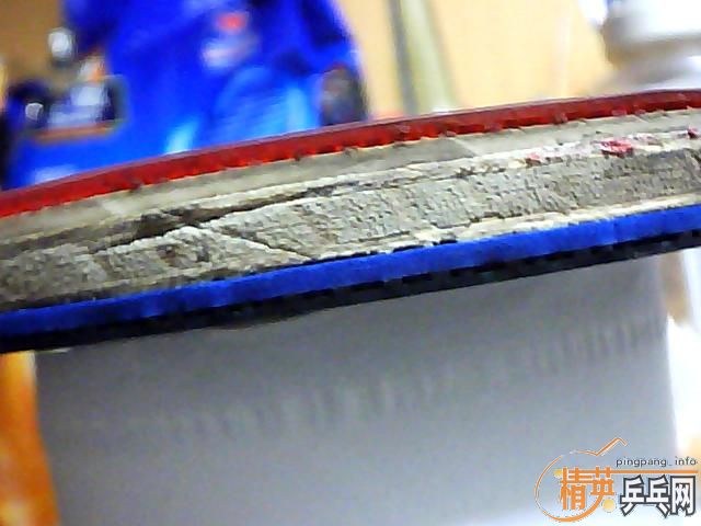 ����ֻ�������ӣ�һֻ�зϵģ���ҪҲ����