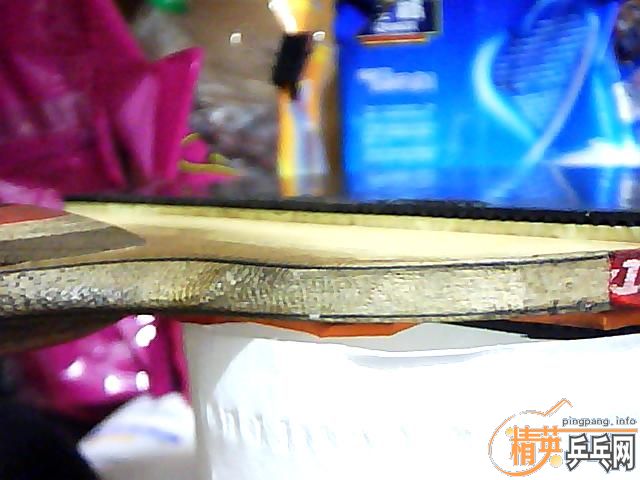 ����ֻ�������ӣ�һֻ�зϵģ���ҪҲ����