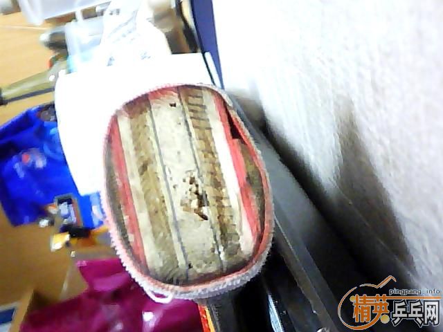 ����ֻ�������ӣ�һֻ�зϵģ���ҪҲ����