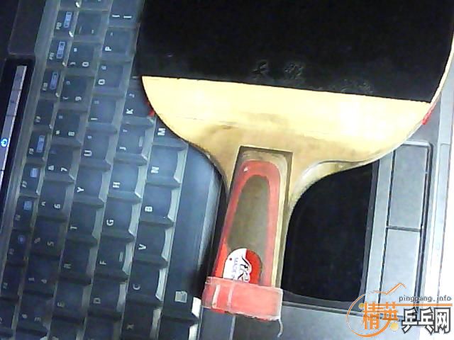 ����ֻ�������ӣ�һֻ�зϵģ���ҪҲ����