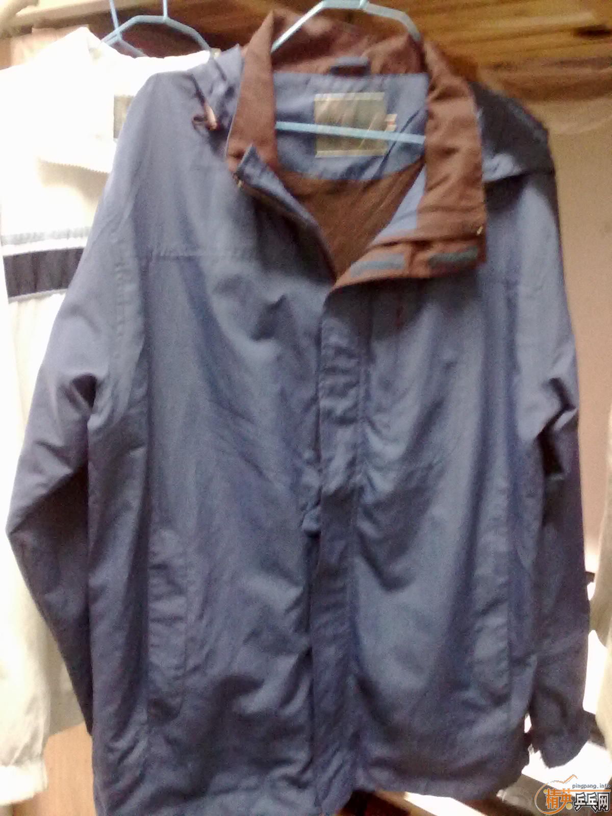 ��43����Ʒ��ά˹����ƤЬ ��һ����Ʒ�������洩�п�