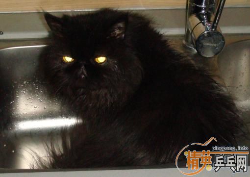 �������ô���12�� �ᱡ�ʼǱ� ������Υ���������֪��