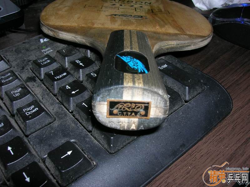 ����2024����