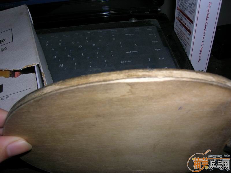 ����2024����