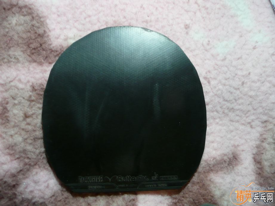 TO STһ֧��8�º�tackifire c��95�¿��3��8�¿��3������