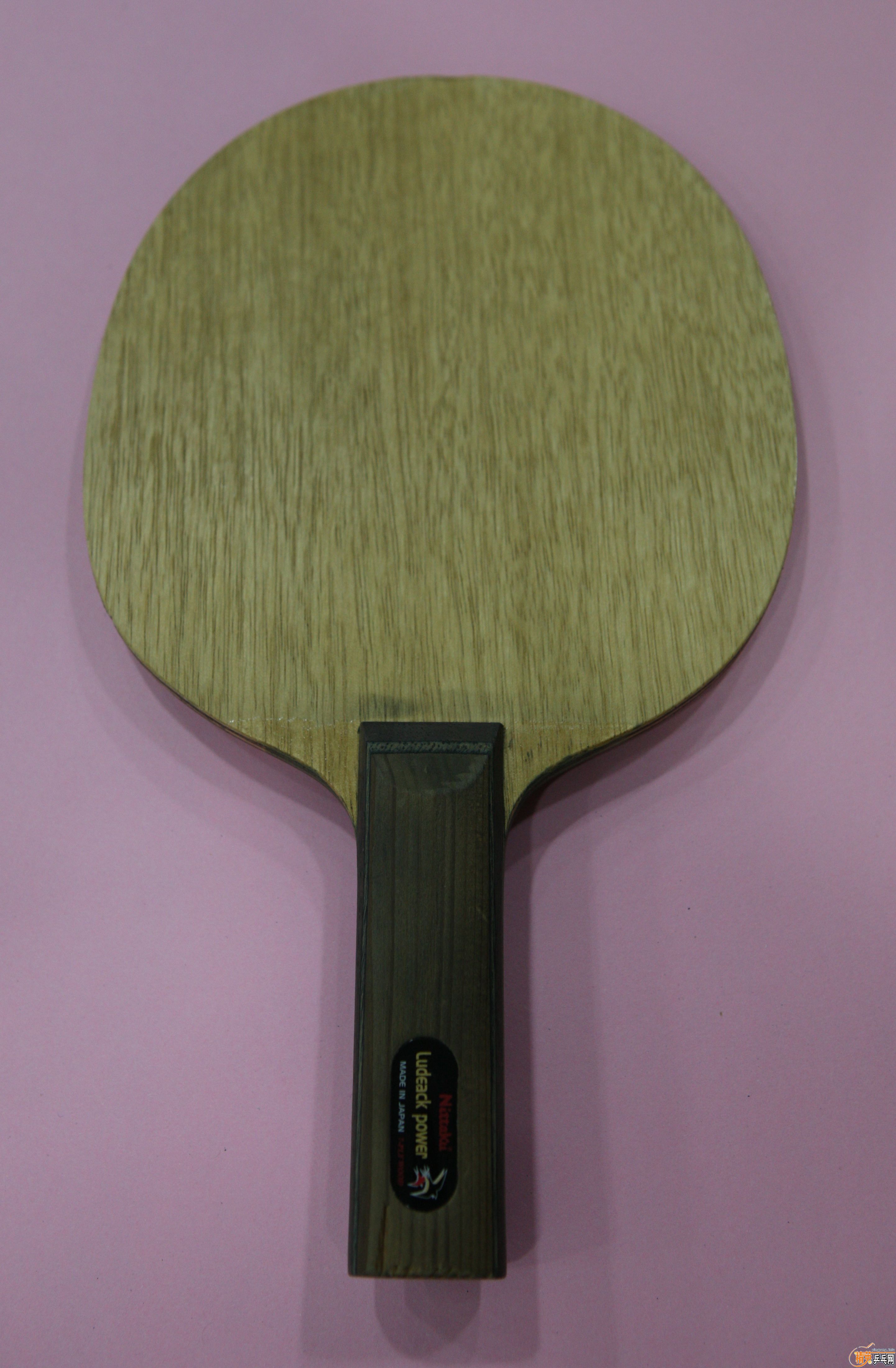 Nittaku ����רҵ��ST,460����