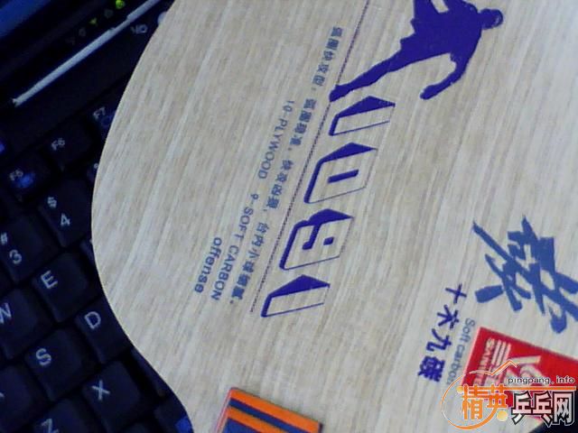 �����µ���άʮľ��̼��