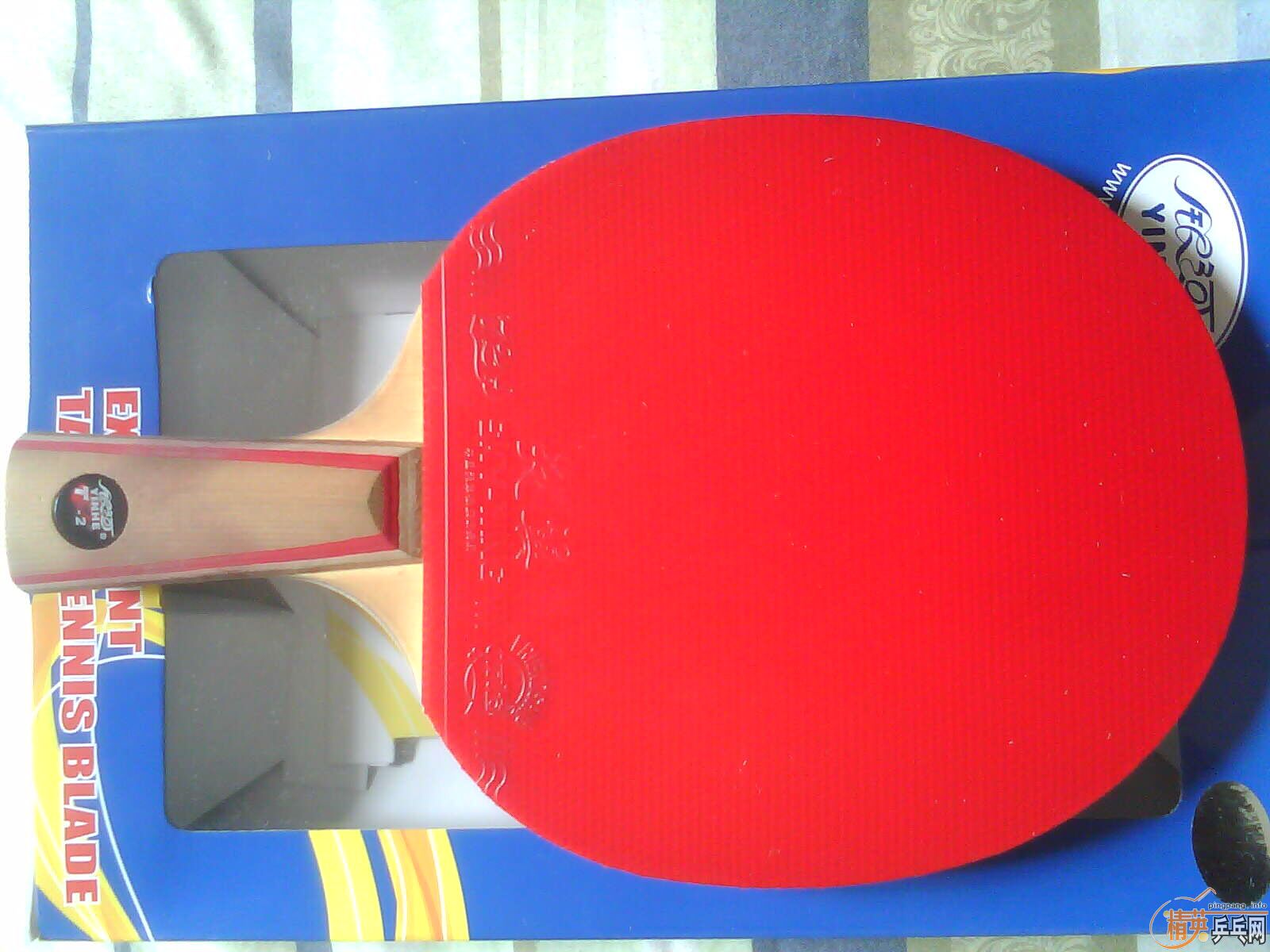 ���˰���µ�����T2����