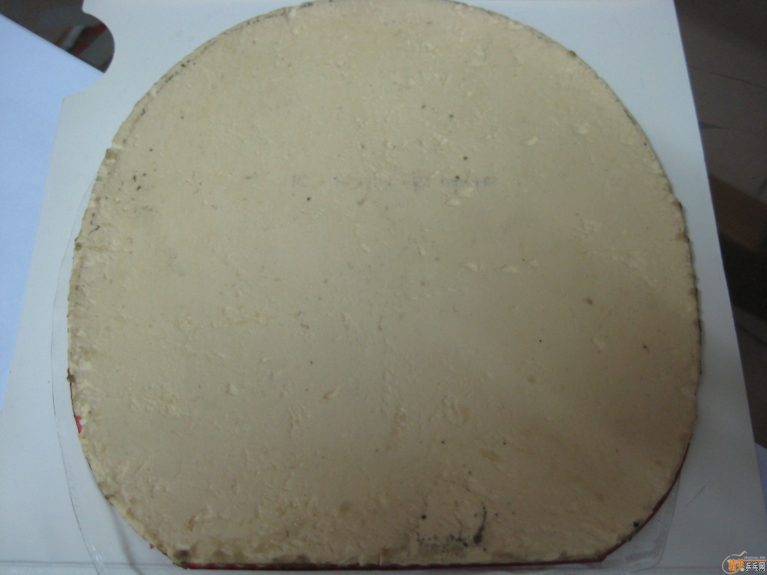 ��9.5�µ�G3,NEO����,�ͺ������˵Ĵ��FX��9�µ�˹�ٿ�̼�ع���