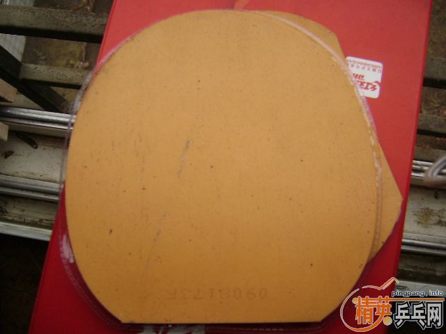 ֧����������˹�ٿ�������Ŀ��  ��ɫ39��ʡ���һ�鳬�µĺ�ɫ40���տ� ���