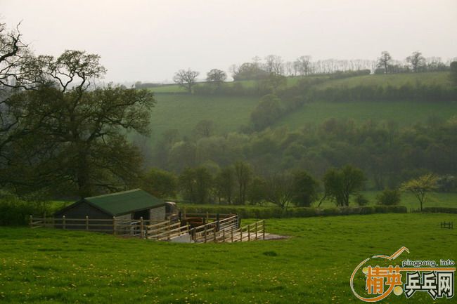 ������.....