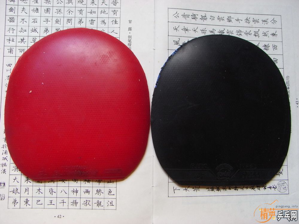 [ԭ��]50�������Ž�Ƥ������������