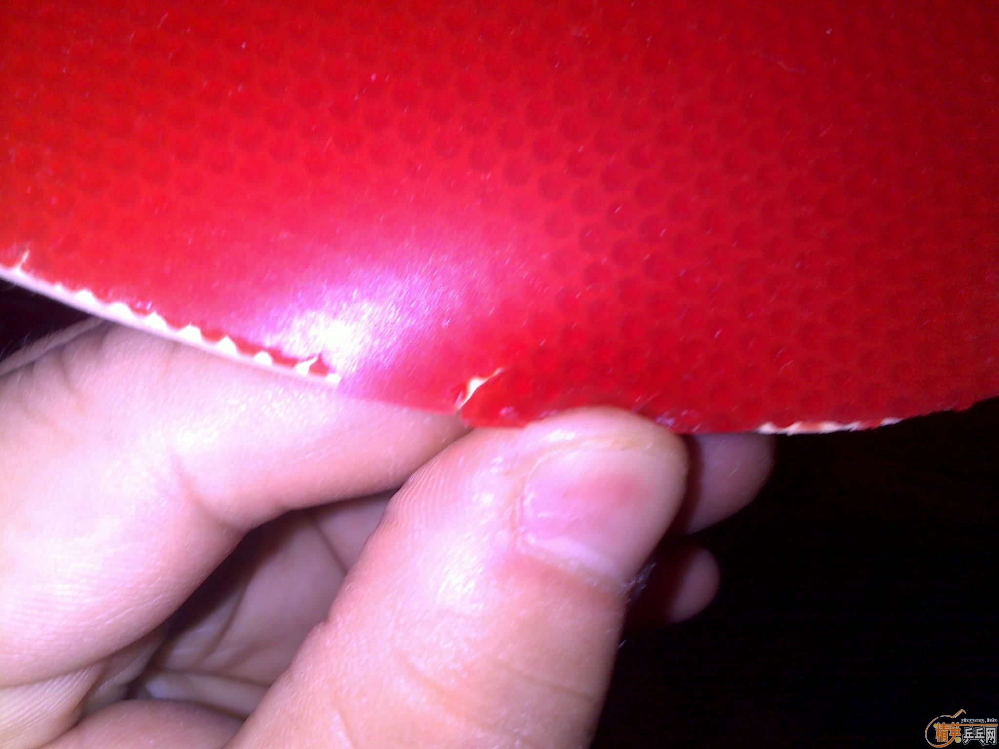 Bryceֻ��Ǯ��Bryce spd fx ���� ��ɫ�൱