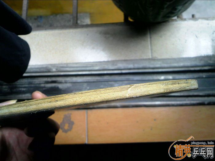 �㶫������˳�����fl��p777st��ͦ��alpha���֣�xiom zate��stiga����һŵ����