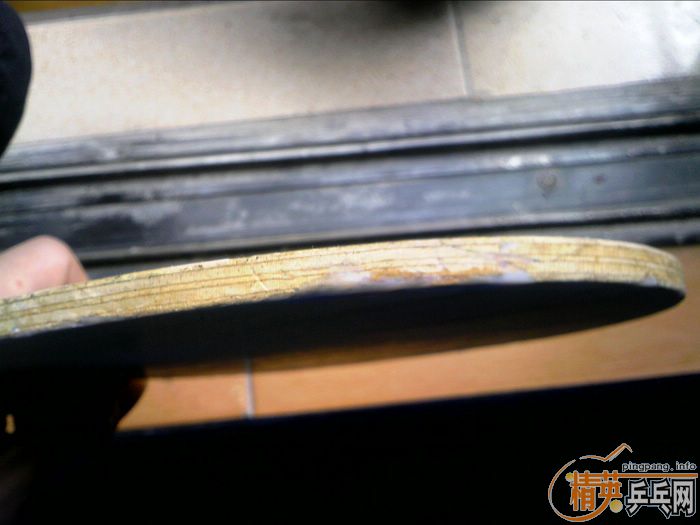 �㶫������˳�����fl��p777st��ͦ��alpha���֣�xiom zate��stiga����һŵ����