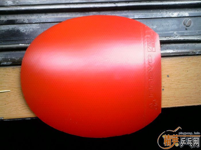 �㶫������˳�����fl��p777st��ͦ��alpha���֣�xiom zate��stiga����һŵ����