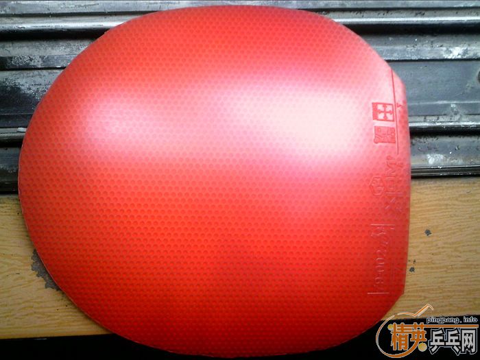 �㶫������˳�����fl��p777st��ͦ��alpha���֣�xiom zate��stiga����һŵ����