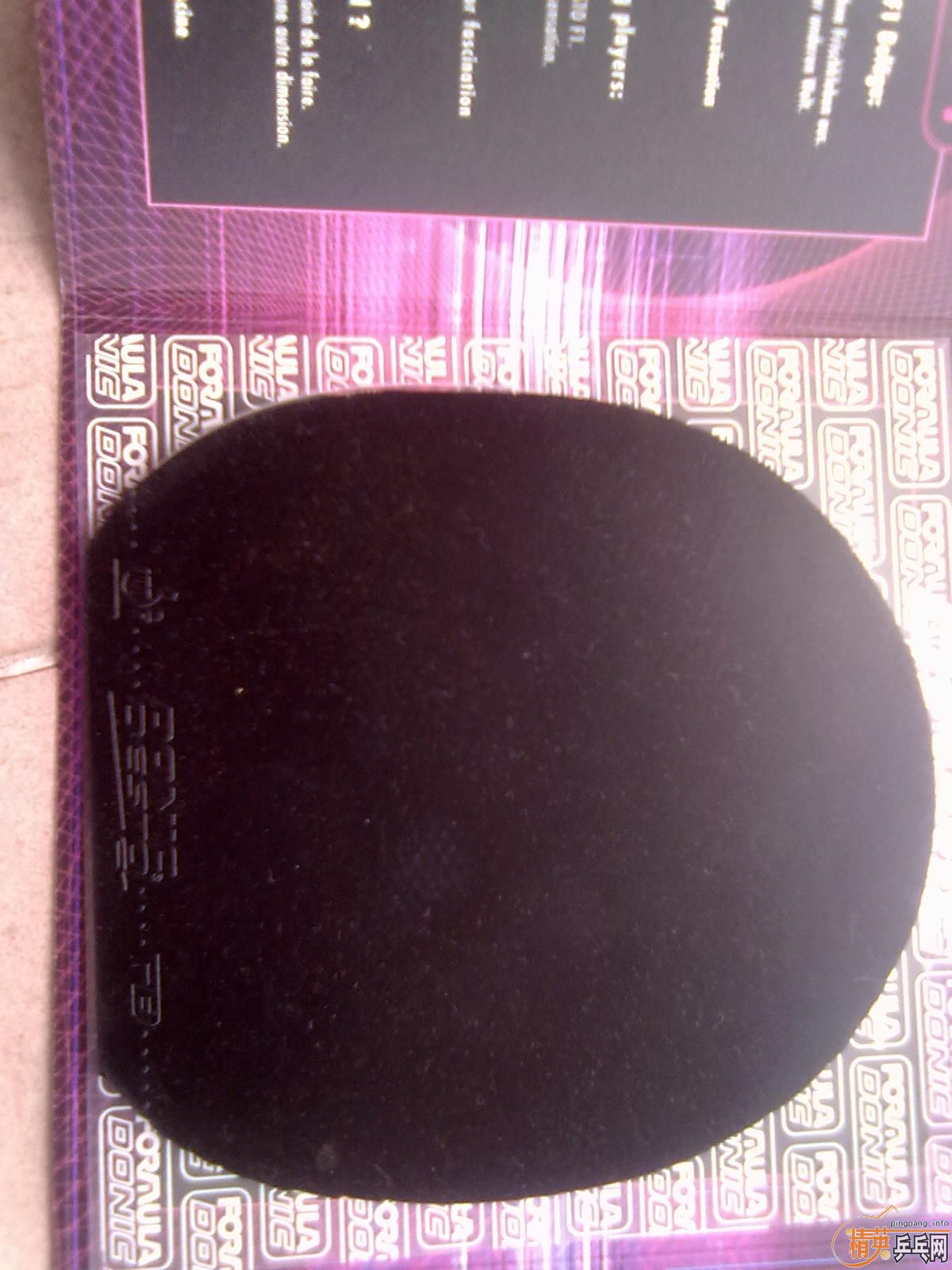 ��08�������ھ�Ӣ